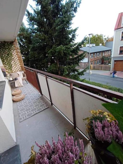 Apartament Podgorna 19 Appartamento Stary Toruń Esterno foto